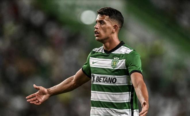 勒沃库森的 勒沃库森的