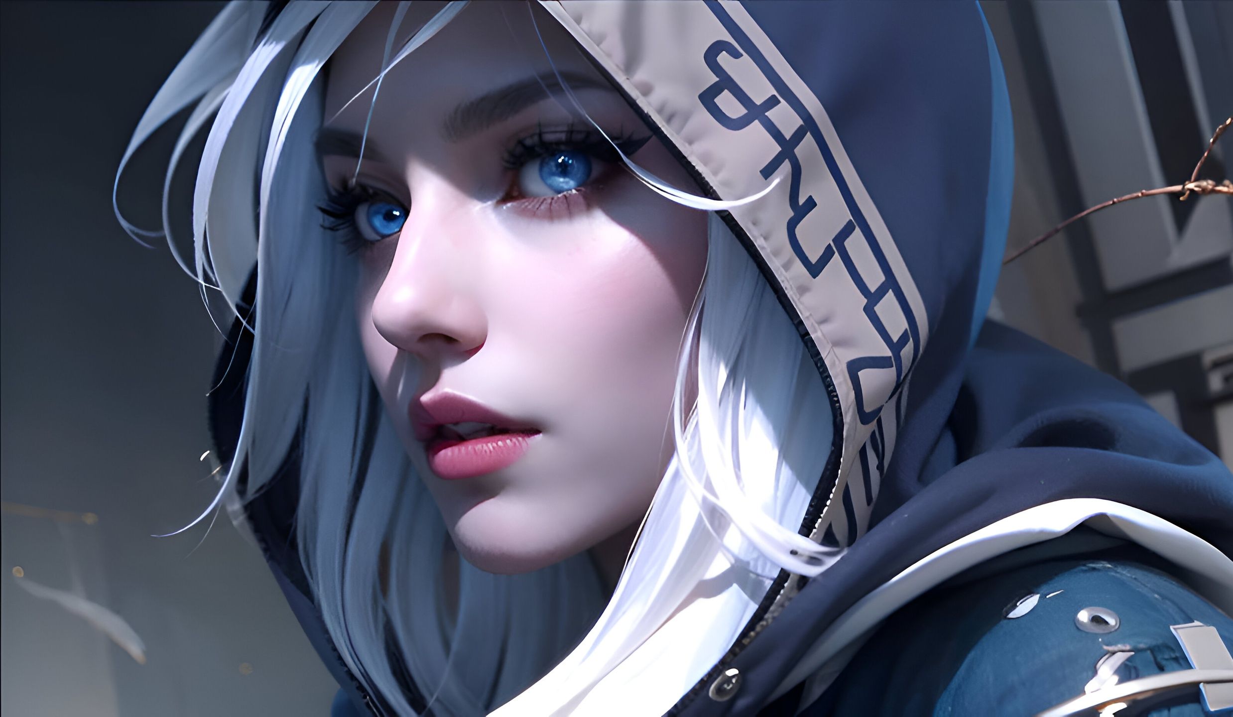 最高荣誉的 最高荣誉的