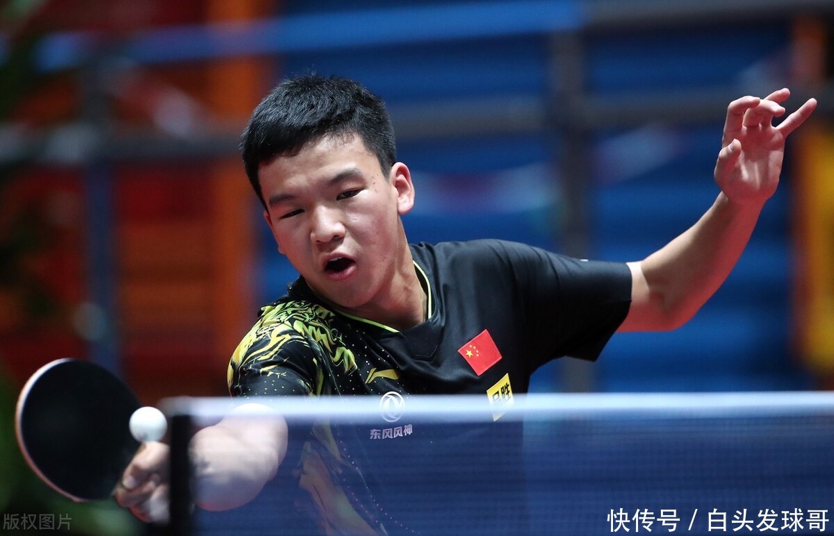 术多样性 术多样性