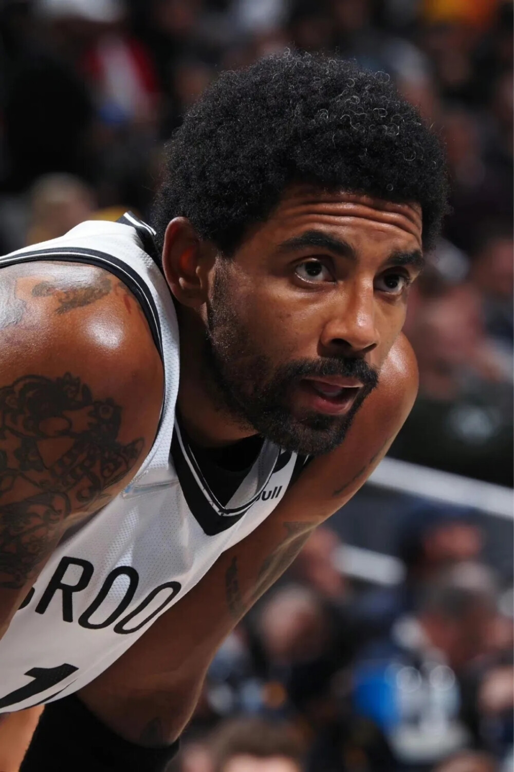 迷和媒体而 迷和媒体而